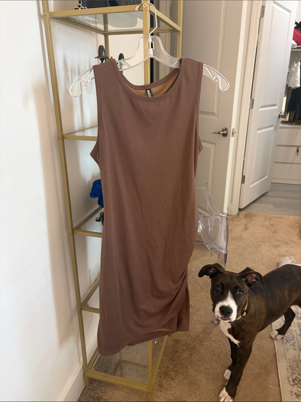 Sleeveless Brown Bodycon Dress